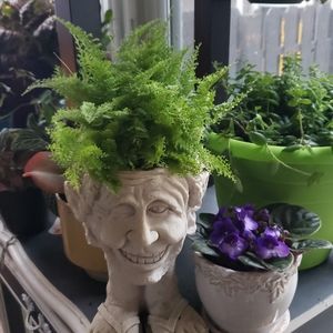 Meet your Posher, Chrissy